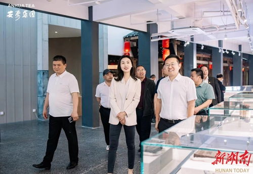 永定區(qū)工商聯(lián)推動民企‘走出去，請進來’，助力經(jīng)濟與文化雙騰飛