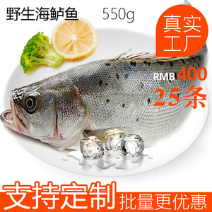冷凍鱸魚(yú)市場(chǎng)分析 價(jià)格、圖片、批發(fā)采購(gòu)及供應(yīng)商渠道