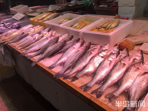 青島水產(chǎn)品交易遇冷，進(jìn)口水產(chǎn)停售，市場(chǎng)監(jiān)管部門嚴(yán)查進(jìn)貨來(lái)源