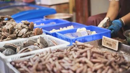 煙臺(tái)開海首日！凌晨碼頭沸騰，生猛海鮮批量上岸直供市民餐桌