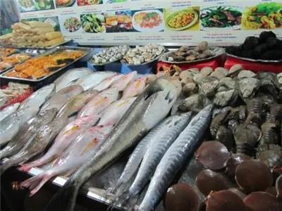 水產(chǎn)魚(yú)類(lèi)市場(chǎng)價(jià)格與行業(yè)動(dòng)態(tài)深度解析